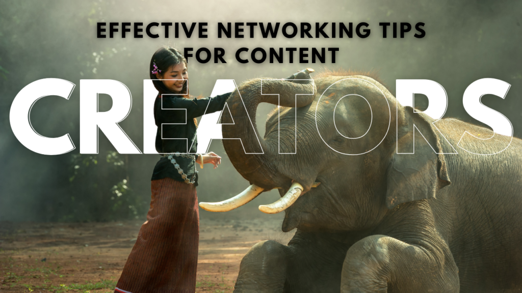 Effective Networking Tips for Content Creators